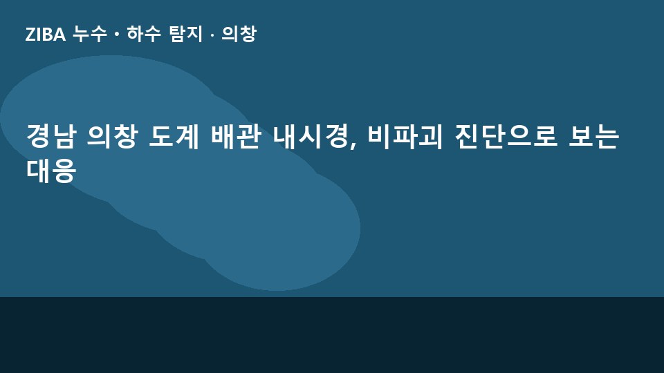 경남 의창 도계 배관 내시경, 비파괴 진단으로 보는 대응